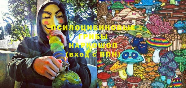 2c-b Алзамай