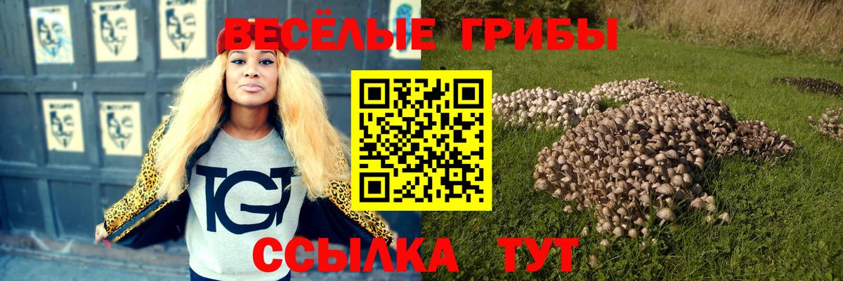 Псилоцибиновые грибы мухоморы Тейково